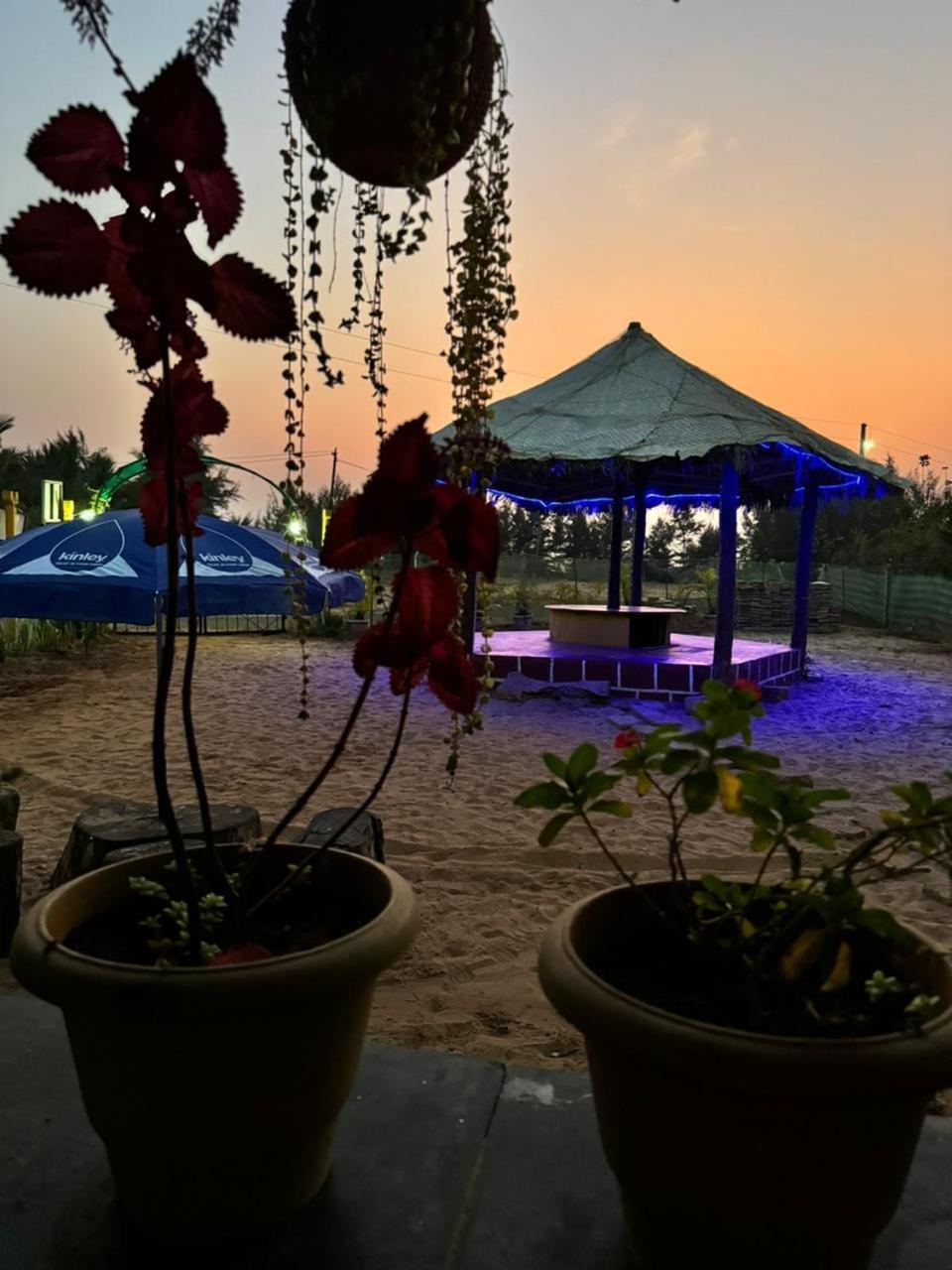 Turtle Beach House Vengurla Bagian luar foto